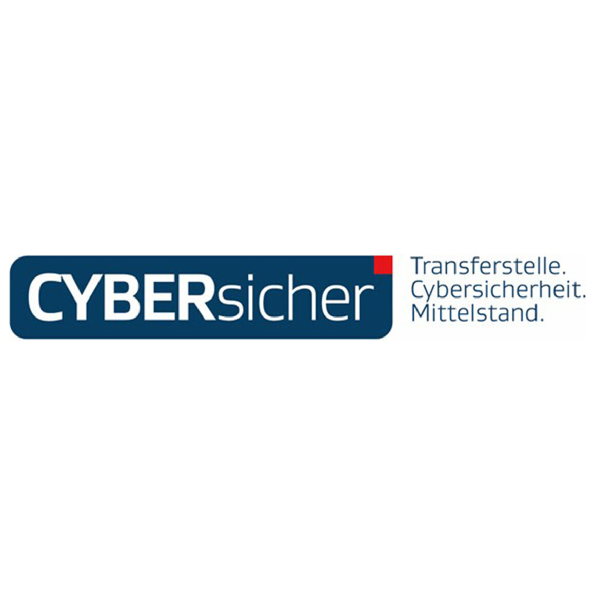 CYBE Rsicher 1920x1920px