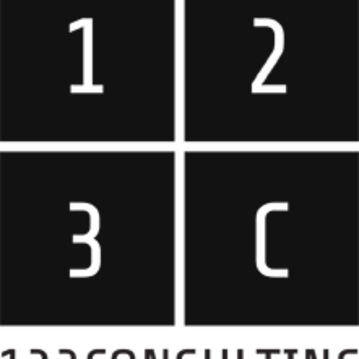 123 CONSULTING black 72dpi