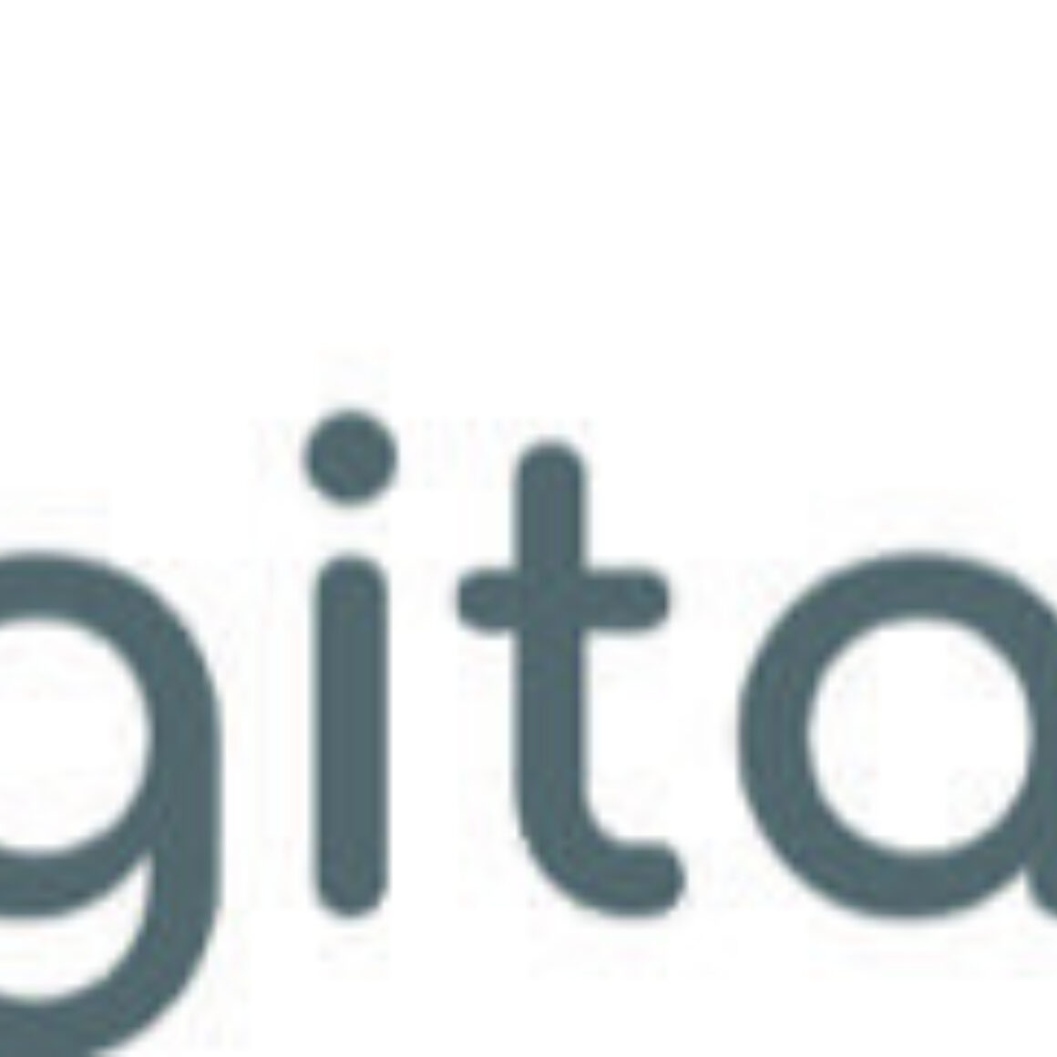 Digitalbeirat logo Kopie