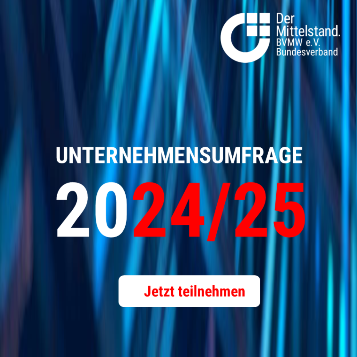 BVMW Unternehmensumfrage 2024-25